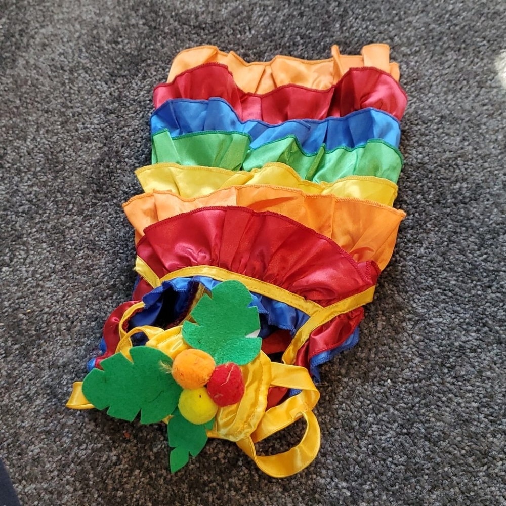Pet costume size small